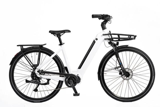 36V 250W Mid-Drive Electric Bike with Aluminum Frame & Hydraulic Disc 9speeds