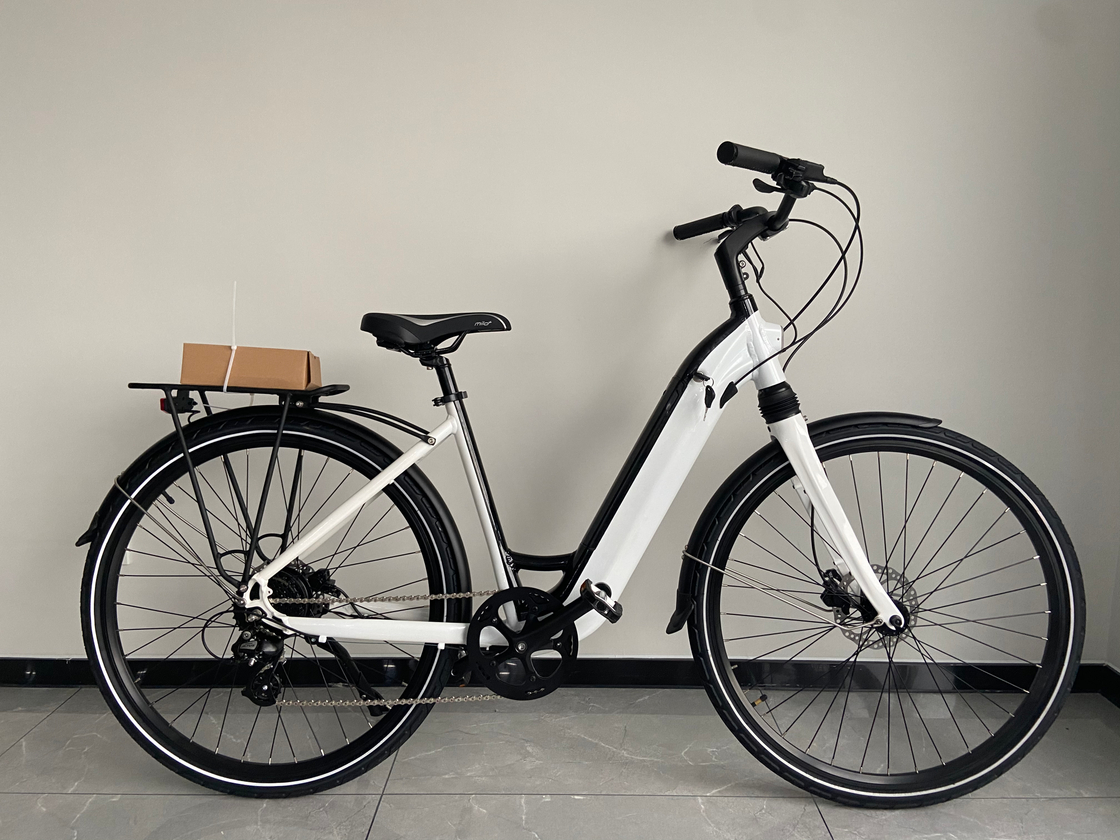 OEM Classical Urban City Electric Bike 