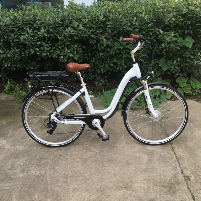 Removable Battery 750W 32MPH Mountain Electric Bike