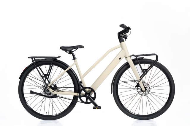 36V 250W Aluminum Frame E-Bike with 10Ah Battery & Hydraulic Disc Brakes