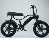 20 Inch 750W Fat Tire Folding Electric Bike