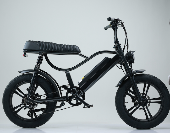 20 Inch 750W Fat Tire Folding Electric Bike