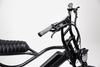 OEM Black Fat Tire Electric Mountain Bike