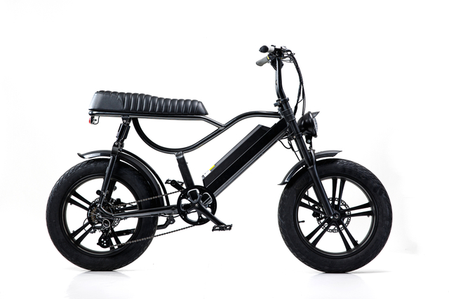 20″*4.0 Fat Electric Bbike 48V Dual Suspension Shimano 7speeds 