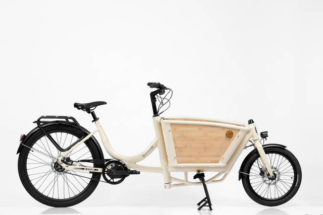 New Popular Cargo Electric Bike Mid Drive Nexus 3S