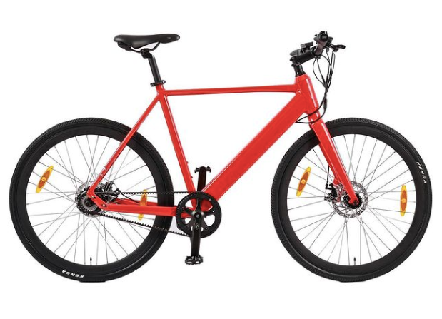 Adults 750W Removable Larger Battery Electric Bike