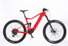 Carbon Fiber Electric Bike Mountain Ebike 