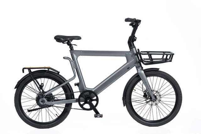 36V 250W Rear Hub Motor Electric Bike with Aluminum Frame & Hydraulic Disc Brakes