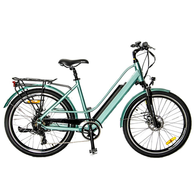 Classical Lady City Road EBike