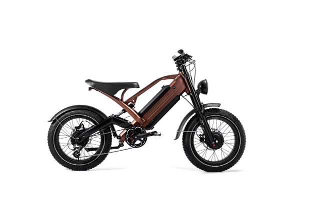 Moped -style Electric Bikes 2 Batteries 2 Motor 750w FAT eBike 