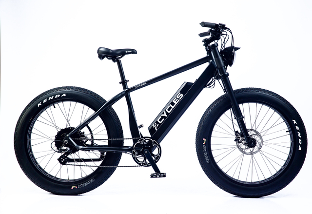 1000w Fat Tire Power Mountain EBike