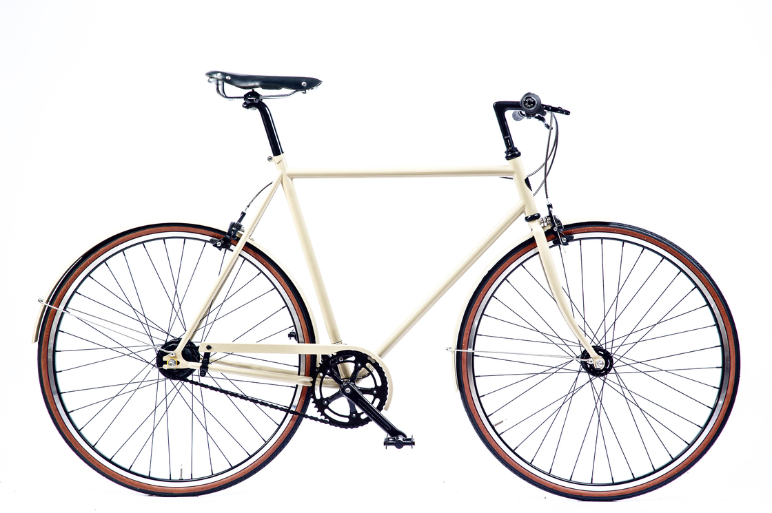 Easy Riding City Man Bicycle 