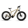 Custom Aluminum Alloy Electric Mountain Bike with LED light