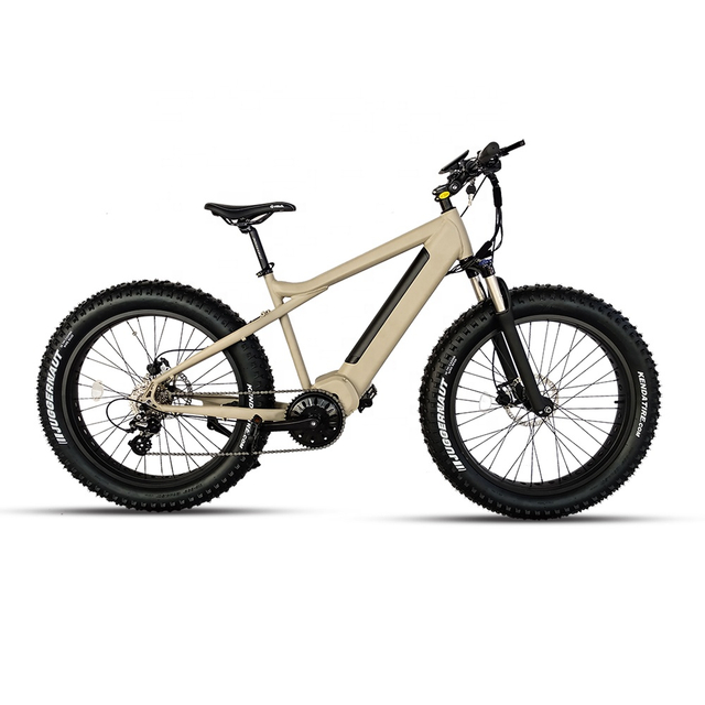 Custom Aluminum Alloy Electric Mountain Bike with LED light