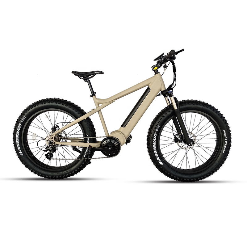 Custom Aluminum Alloy Electric Mountain Bike with LED light